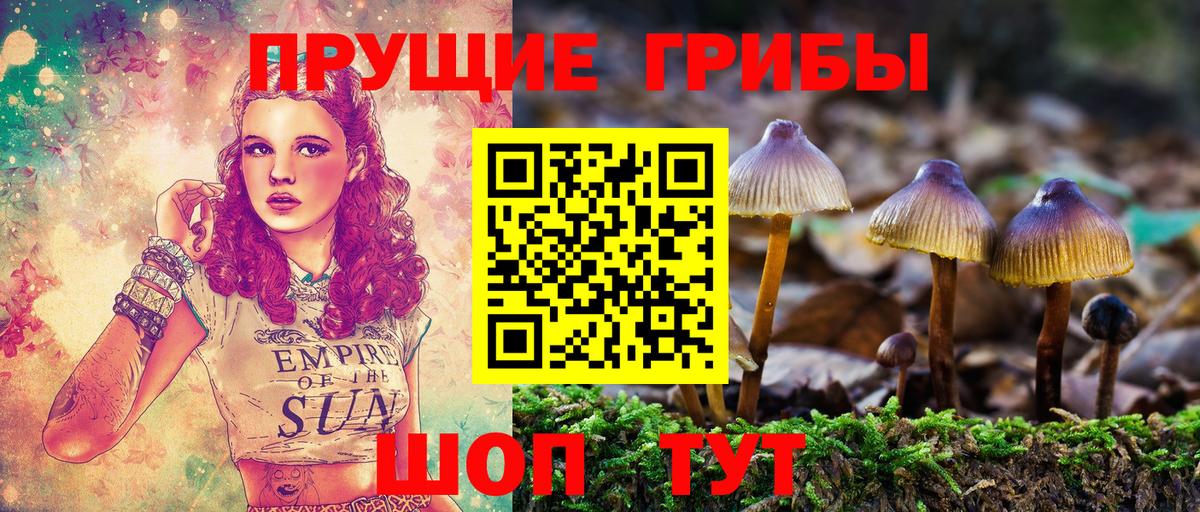 Псилоцибиновые грибы Magic Shrooms Россошь